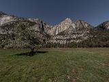 Yosemite 035